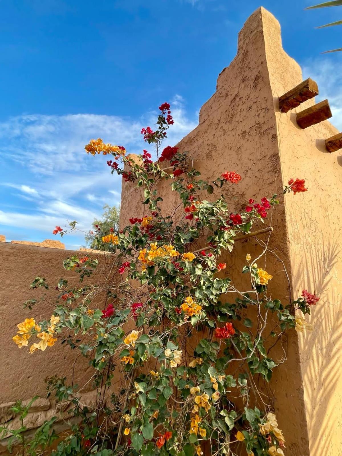 Auberge Kasbah Dar Sahara Tours M'Hamid Buitenkant foto